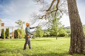 Reliable Sangaree, SC Tree Services Solutions